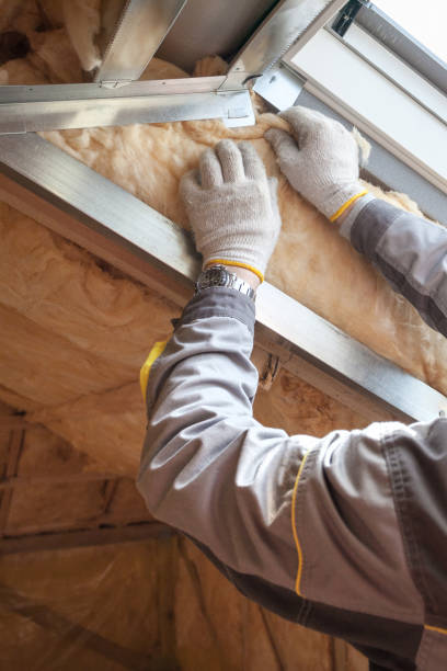 Best Geographic-Specific Insulation Services in Brighton, AL
